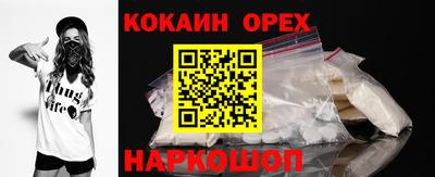 спиды Кингисепп