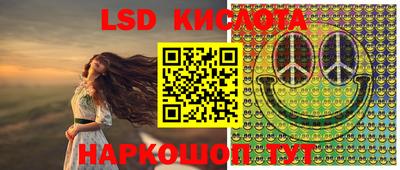 спиды Кингисепп