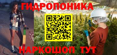 спиды Кингисепп