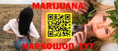 спиды Кингисепп
