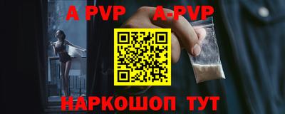 спиды Кингисепп