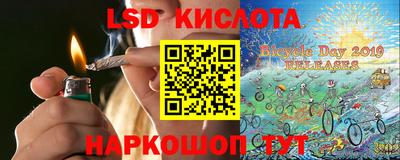 спиды Кингисепп