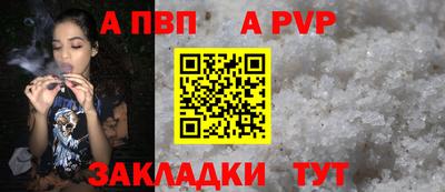 спиды Кингисепп