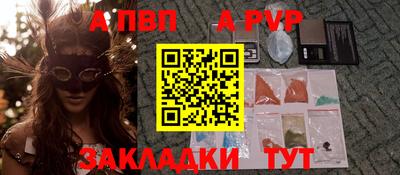 спиды Кингисепп